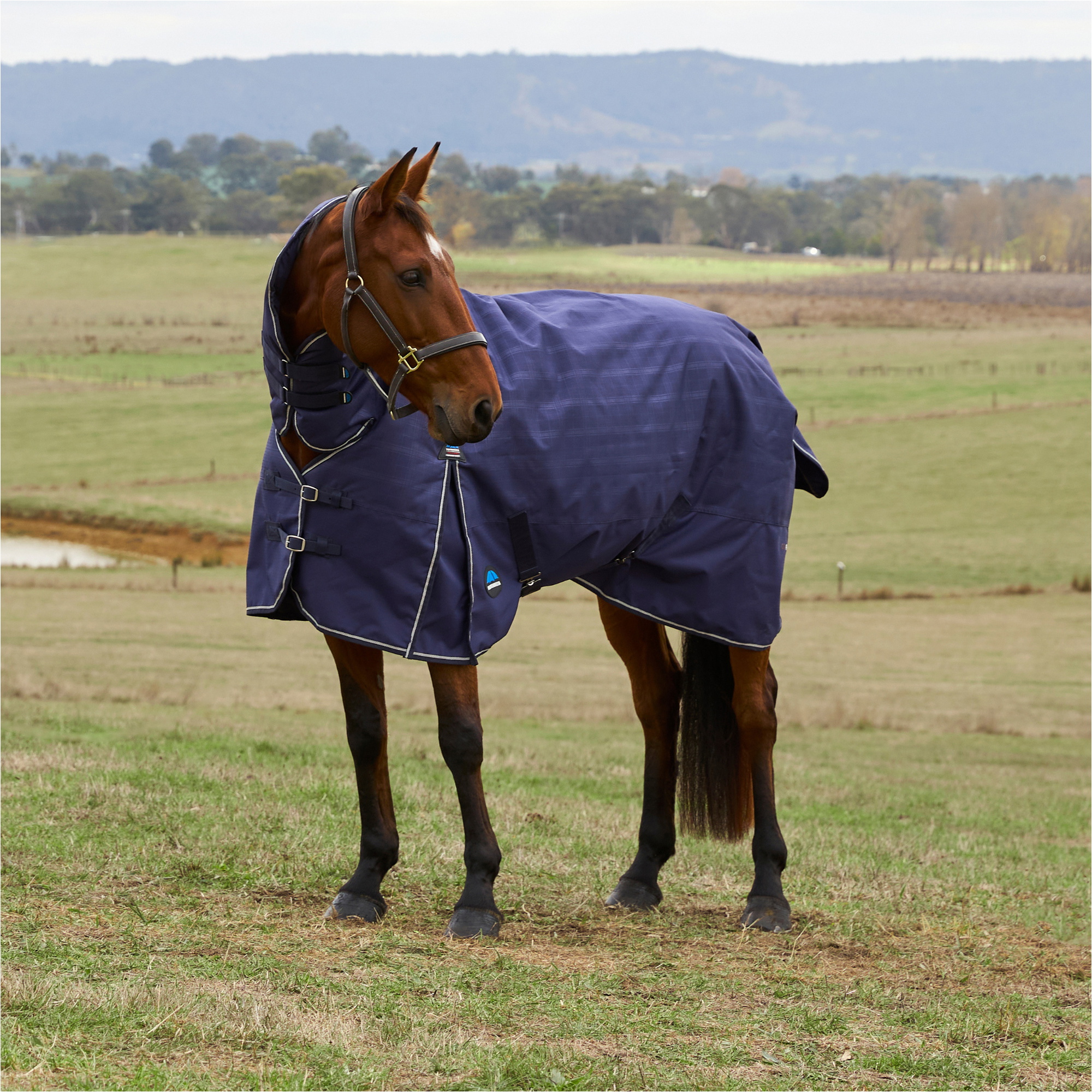 2026 WeatherBeeta Comfitec Vorläufig Sich Herausstellen Teppich Combo 0G 1029031 - Navy Embossed Plaid